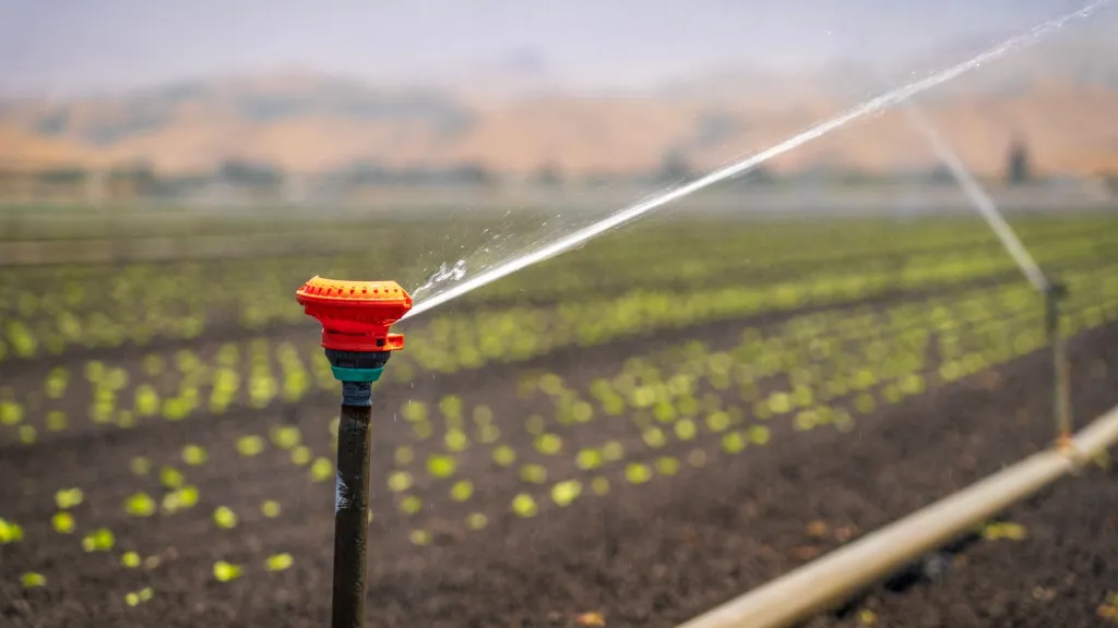 Tarımsal GES Nedir? Tarım Solar Maliyeti Hangi Faktörlere Göre Değişir? — güneş enerjisi